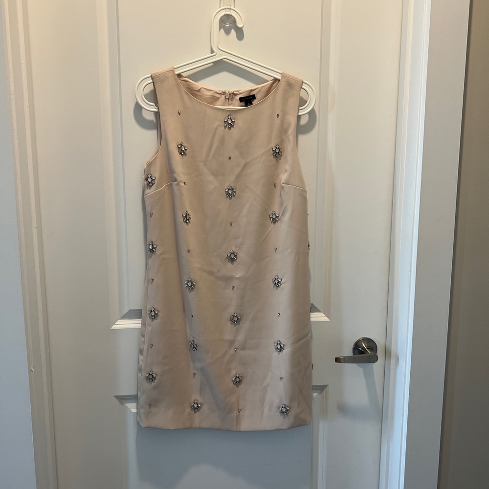 Ann Taylor Baby Pink Dress